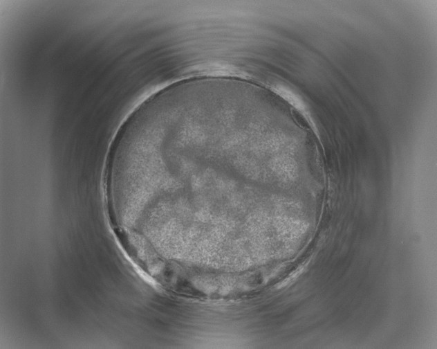 X0000069791141200606021406