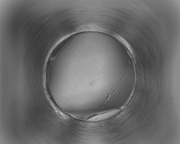 X0000069791144200606021406