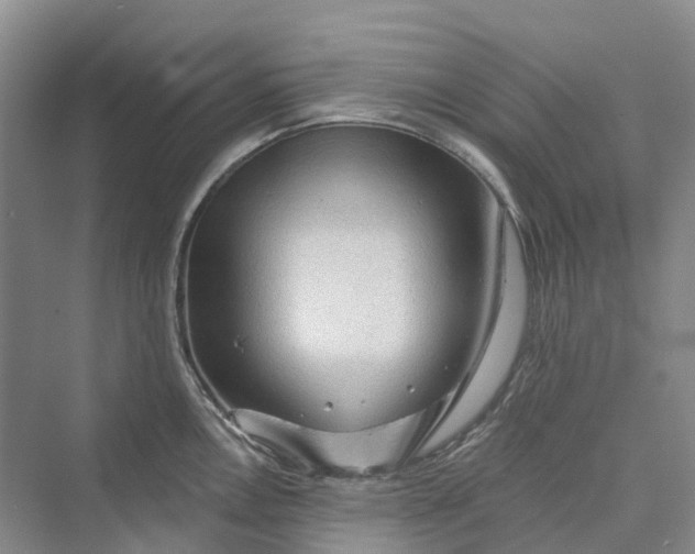 X0000069791146200606021406