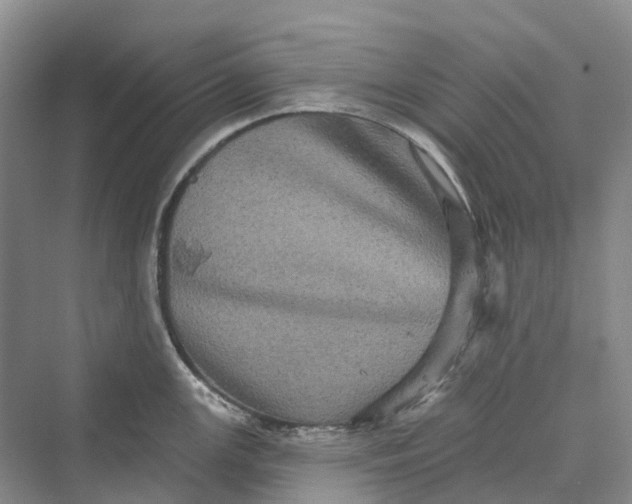 X0000069791147200606021406