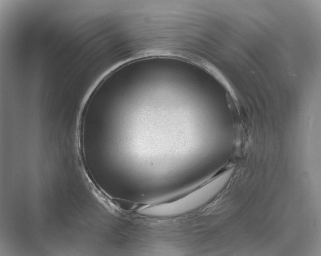 X0000069791148200606021406