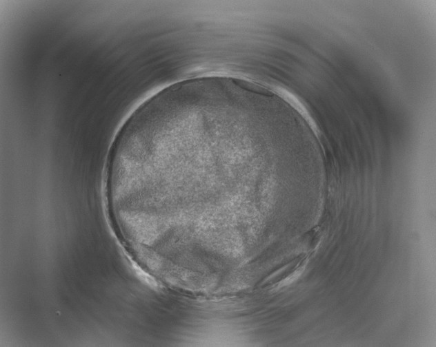 X0000069791149200606021406