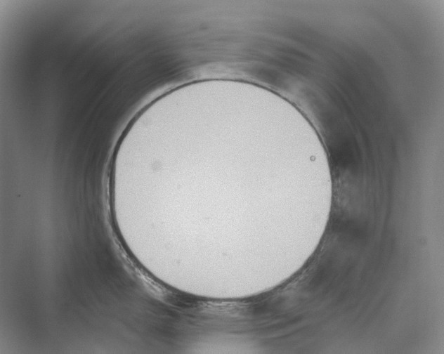 X0000069791150200606021406