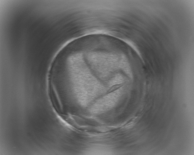 X0000069791151200606021406