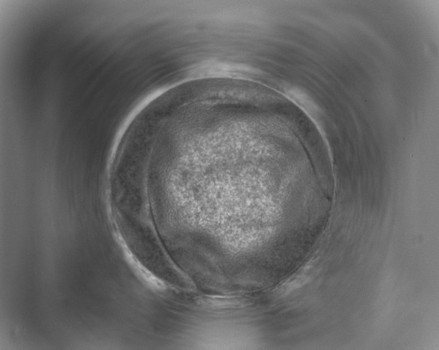 X0000069791152200606021406