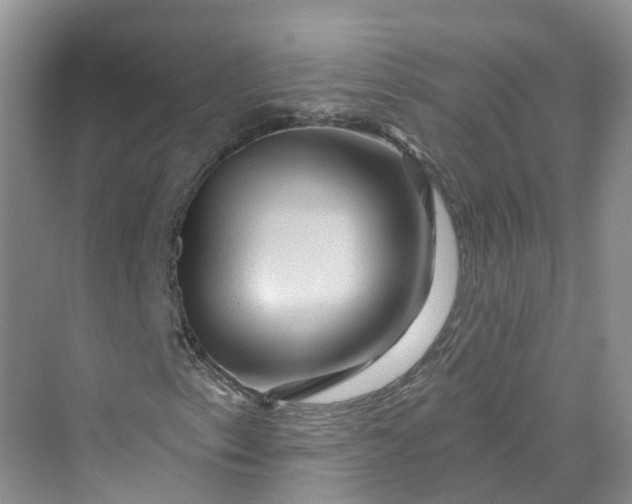 X0000069791153200606021406