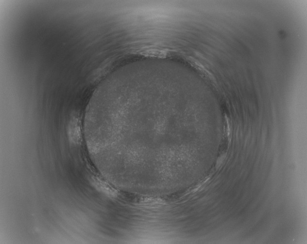 X0000069791154200606021406