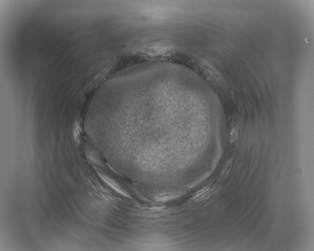 X0000069791156200606021406