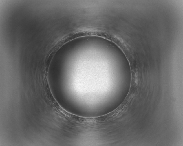 X0000069791157200606021406