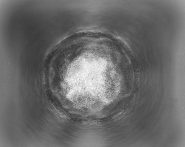 X0000069791159200606021406