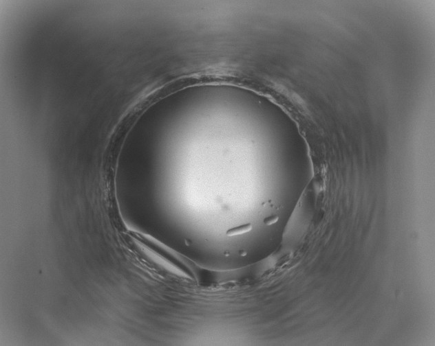 X0000069791160200606021406