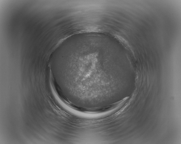 X0000069791161200606021406