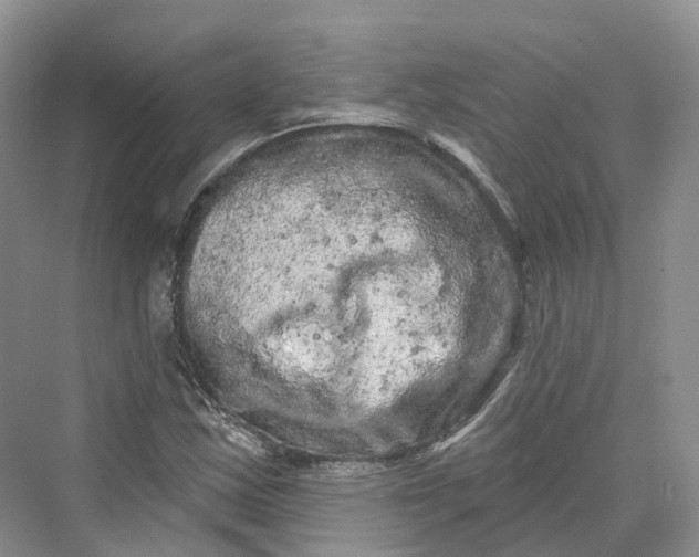 X0000069791163200606021405