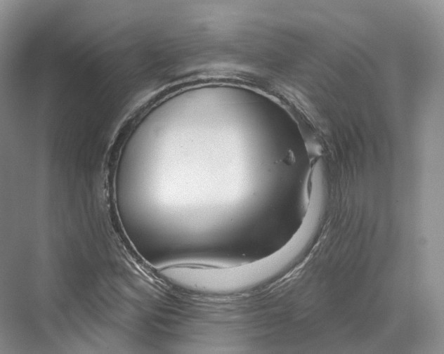 X0000069791164200606021405