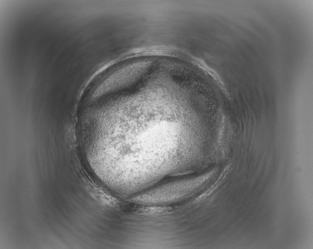 X0000069791166200606021405