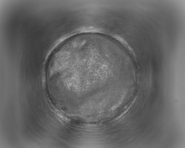 X0000069791167200606021405