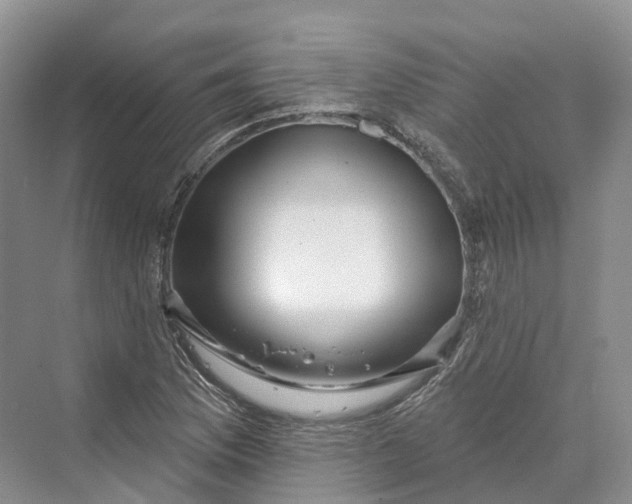 X0000069791169200606021405