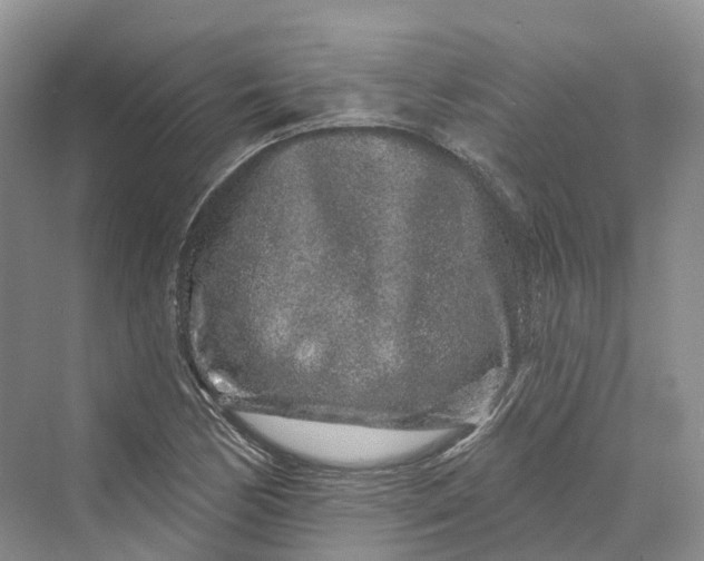 X0000069791170200606021405