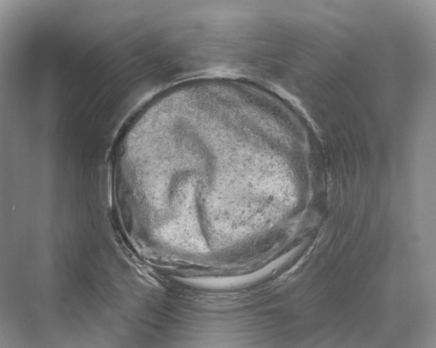 X0000069791171200606021405