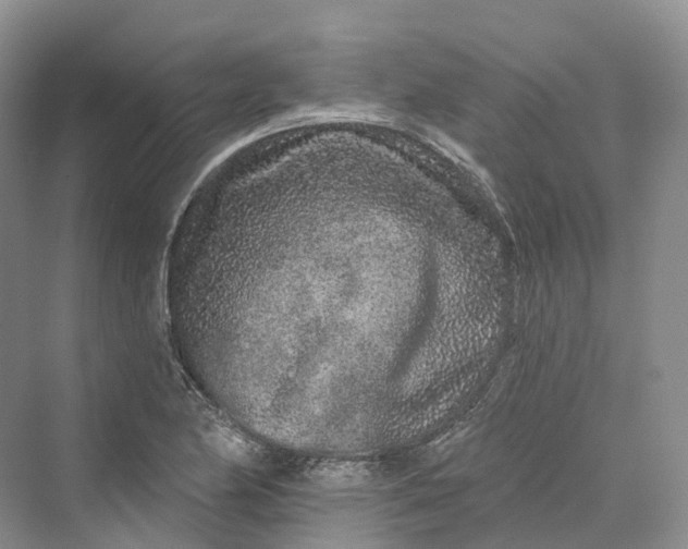 X0000069791174200606021405