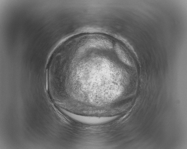 X0000069791175200606021405