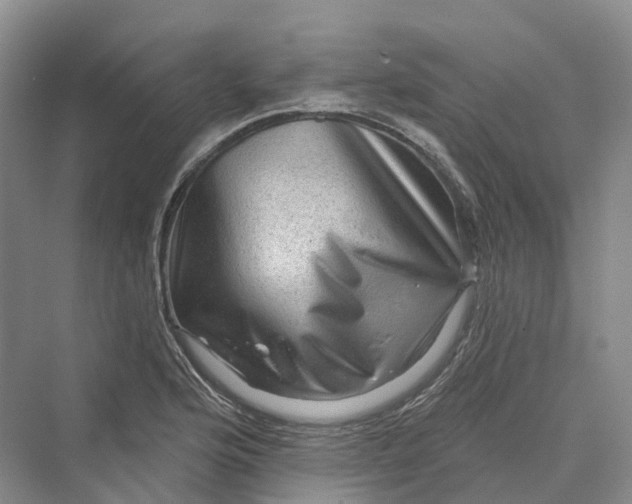 X0000069791176200606021405