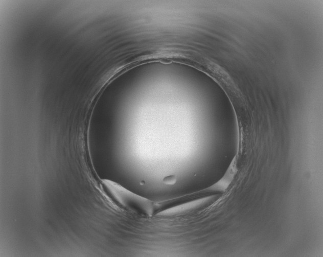 X0000069791177200606021405