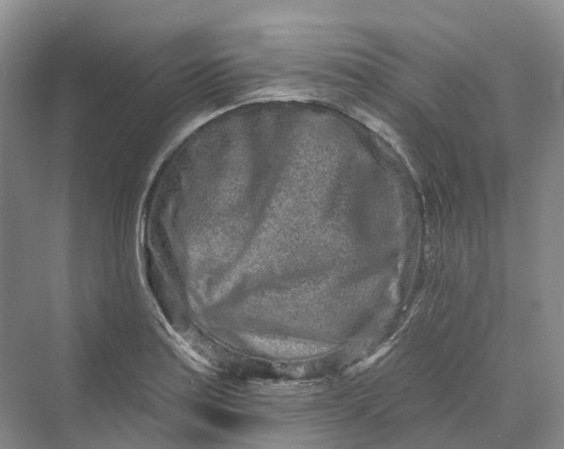 X0000069791179200606021405