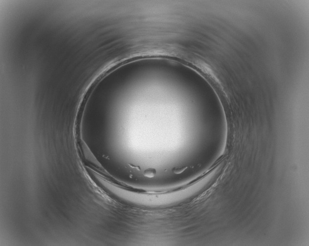 X0000069791181200606021405