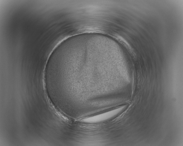 X0000069791182200606021405