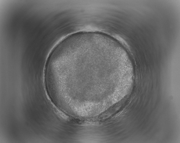 X0000069791183200606021405