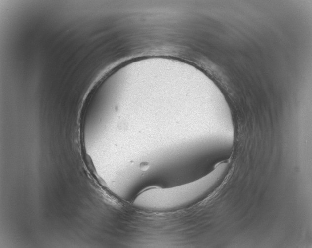 X0000069791184200606021405