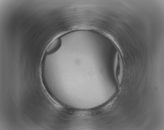 X0000069791187200606021405