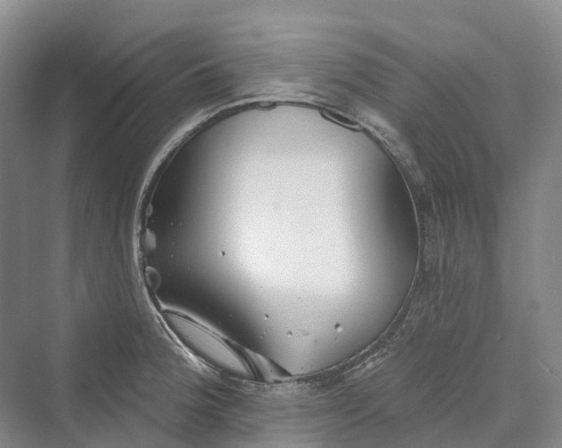 X0000069791188200606021405