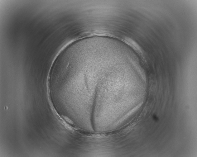 X0000069791190200606021405