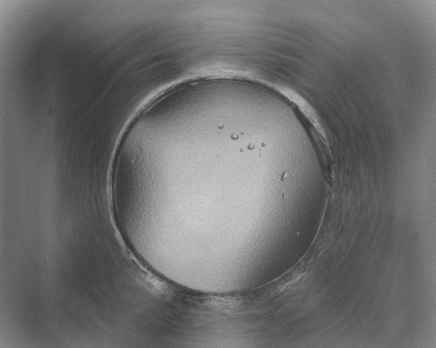 X0000069791191200606021405