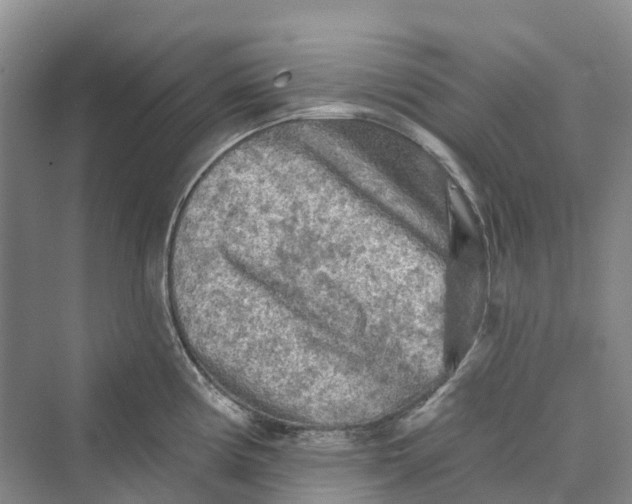 X0000069791194200606021405