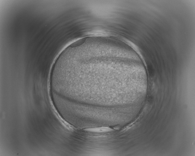 X0000069791195200606021405