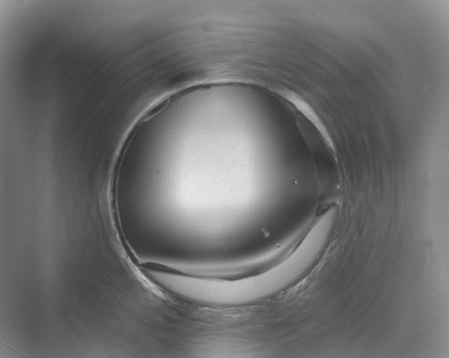 X0000069791197200606021405