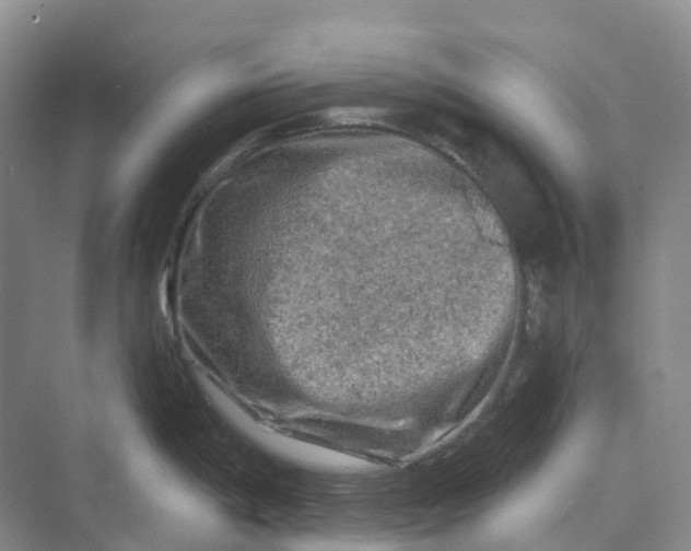 X0000069791198200606021405