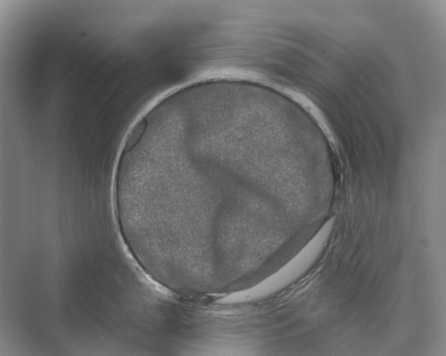 X0000069791199200606021405