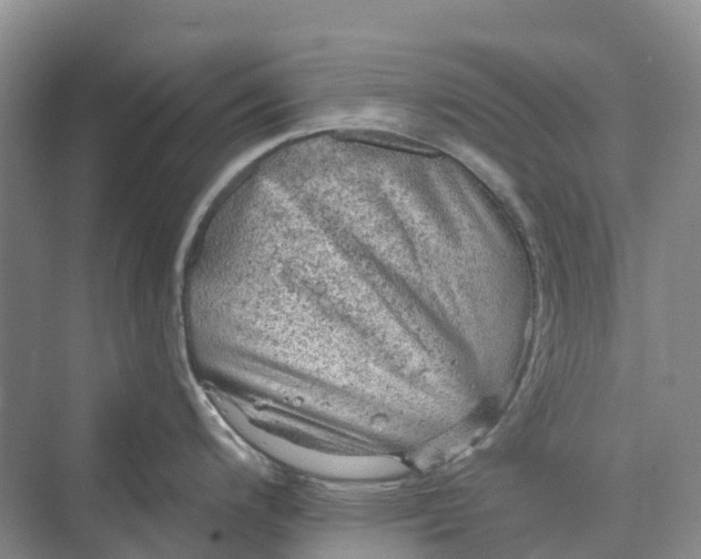 X0000069791200200606021405