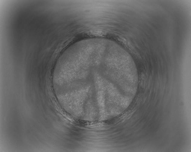 X0000069791201200606021404