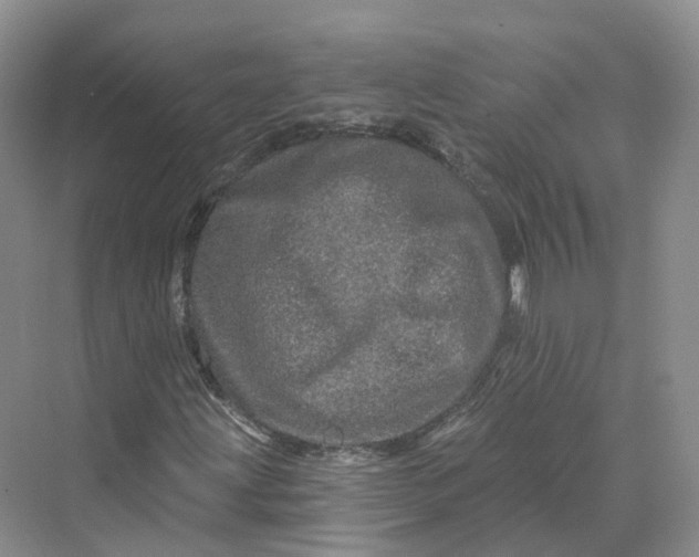 X0000069791203200606021404