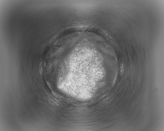 X0000069791204200606021404