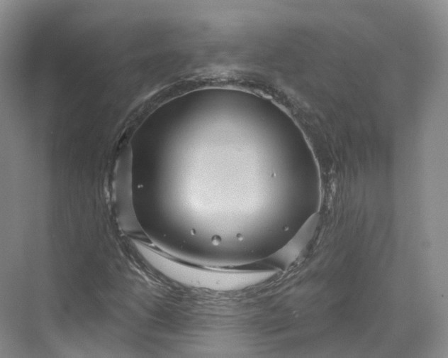 X0000069791206200606021404