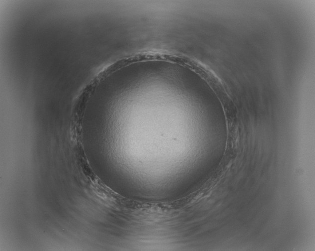 X0000069791207200606021404