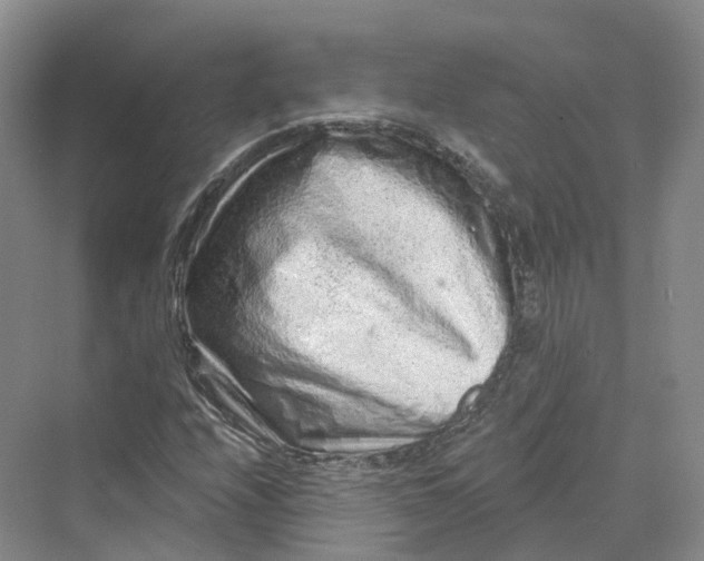 X0000069791208200606021404