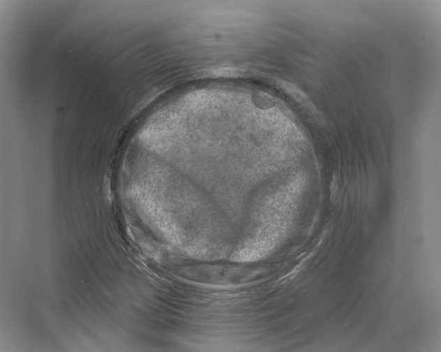 X0000069791209200606021404