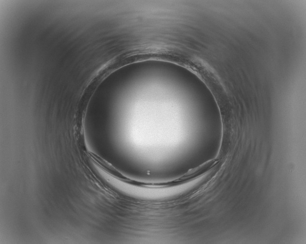 X0000069791210200606021404